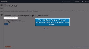 How to use the Index Manager in cPanel