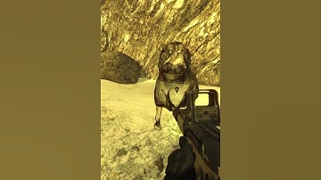 He killed himself by making me kill my self in Stalker Gamma. #shorts #stalker2 #stalker #anomaly