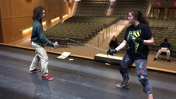 Section 5 Fight from stage