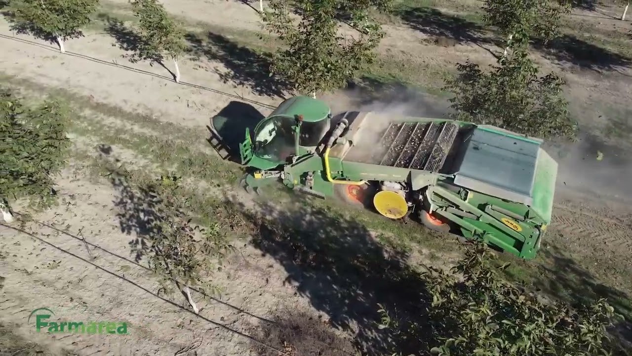 Monchiero in Georgia 