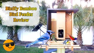 Netvue Birdfy Bamboo Smart Bird Feeder Review and Tutorial