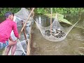 Unbelievable net fishing in rainy season-village man catching lots of fish from flood water