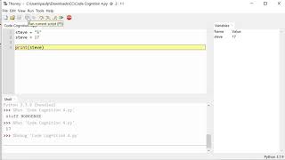 Variables, input and type conversion