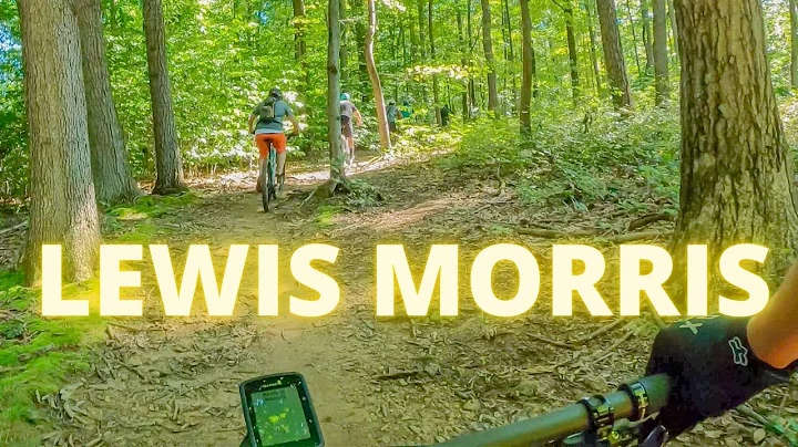 LEWIS MORRIS MTB Beginner YELLOW Trail Full POV Ri...