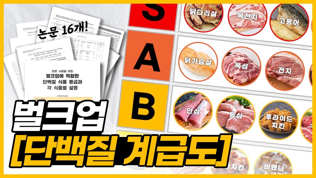 논문 16개로 만든 [벌크업 단백질 계급도]ㅣ완벽 정리 PDF파일 첨부