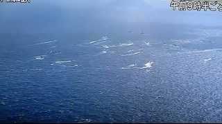 20120925 打水仗保釣,好歡樂~