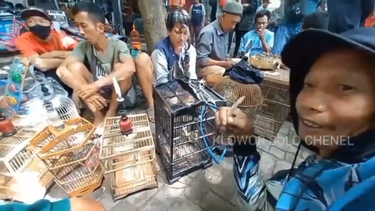 Ya ampun kakek ini juwal burung sangat murah kenapa ?... pasar burung tradisonal jawa
