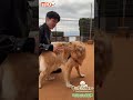 いよいよ明日!&TEAMの YUMAとMAKI が旅の相棒「ボンドくん」と一緒に西伊豆へ!『 もふもふトラベラー 』5月2日(土)よる9時~BS10にて放送!