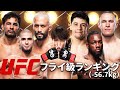 【UFCフライ級丸分かり】『UFCフライ級ランキングトップ10』選手紹介【UFC最軽量級】