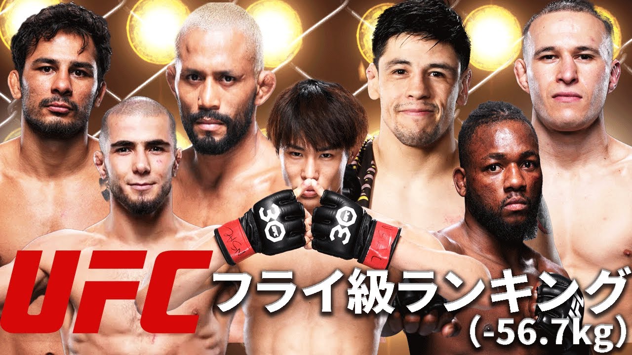 ufc フライ 級 ランキング