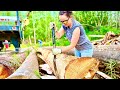 Debarking Our Alaskan Log Home Logs