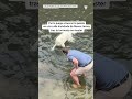 Perro juega a buscar la pelota en calle inundada de Nueva Jersey tras la tormenta nor’easter | T39