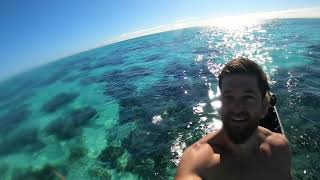 Northwest Island 2021 Great Barrier Reef