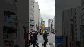 Kanda Tokyo Japan - Driving shorts