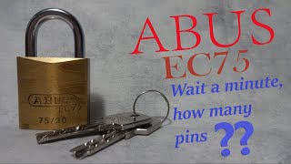 #318 Abus EC75 dimple lock