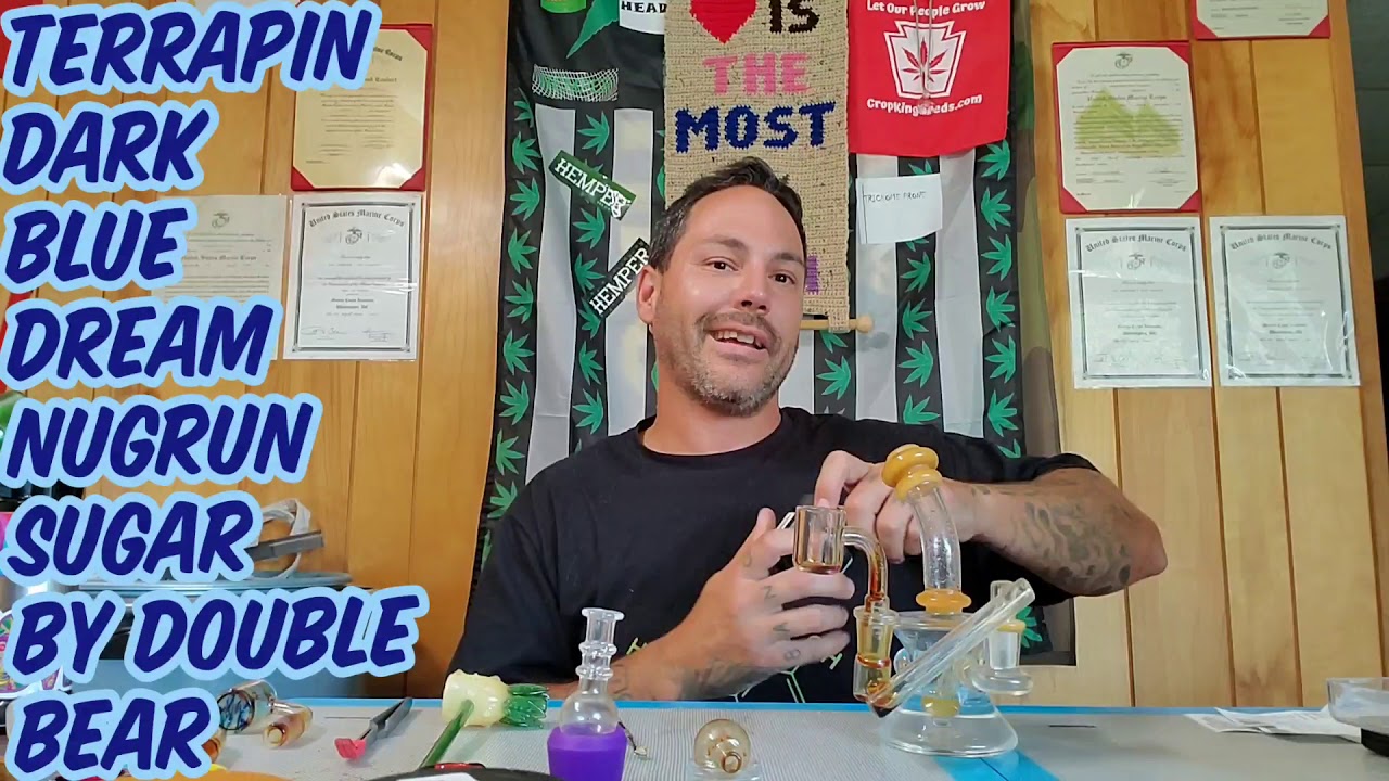 TERRAPIN DARK BLUE DREAM SUGAR NUGRUN REVIEW