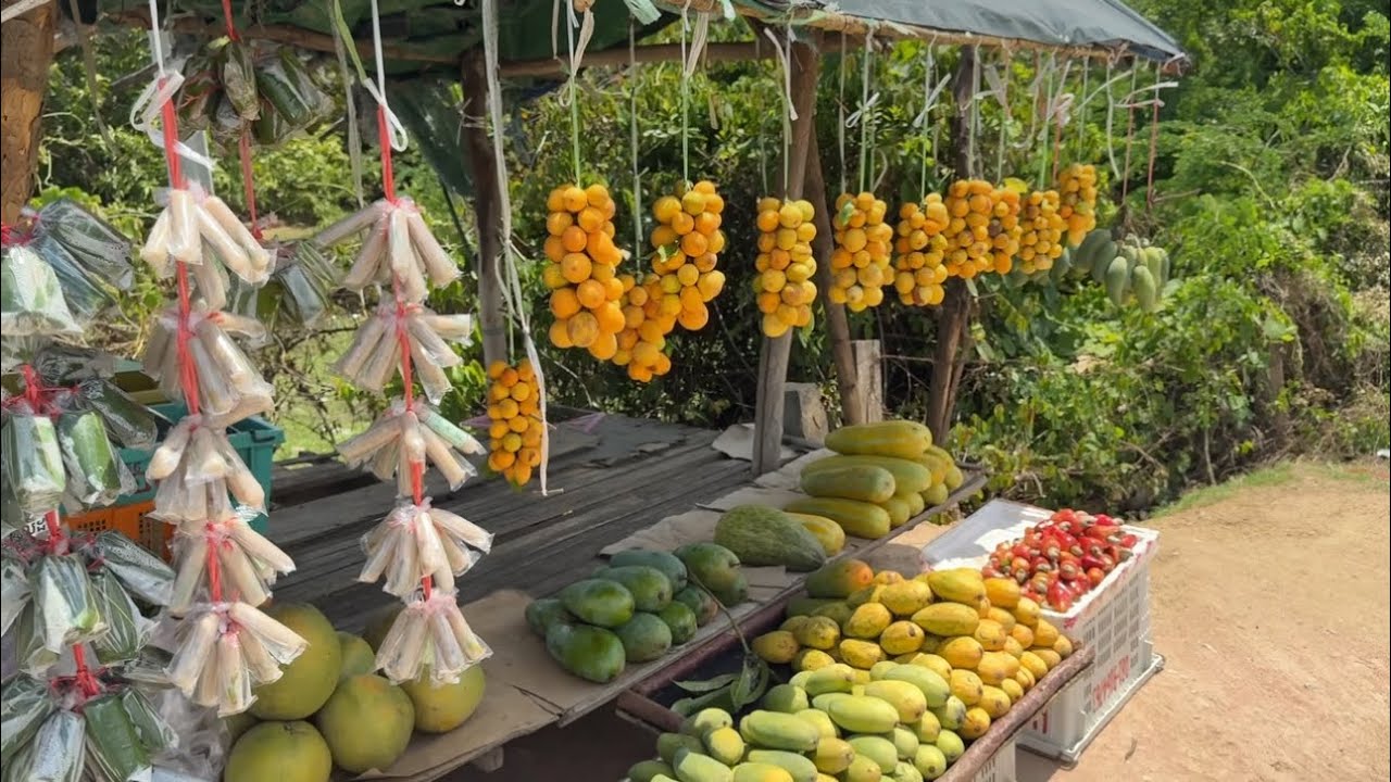 Tropical Fruits Season in Cambodia, Collection
