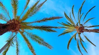 Mallorca 2016 - Island full of sun/GoPro 4  HD