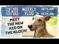 Weekly Vlog - January 2023 - WK#4