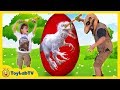 GIANT EGG SURPRISE OPENING! Indominus Rex & Biggest Dinosaur Toy Egg, Ultra T-Rex Kids Video