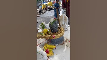 शिवलिंग पर जल अर्पित करते समय कुछ बातों का ध्यान रखें, किस्मत चमक जाएगी #pandit_pradeep_ji_mishra