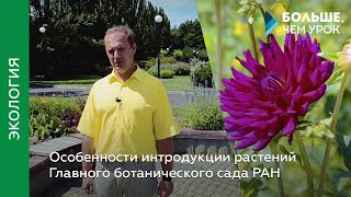 Особенности интродукции растений Главного ботанического сада РАН
