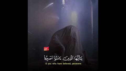 يا أيها الذين آمنوا اصبروا وصابروا ورابطوا واتقوا الله لعلكم تفلحون... القارئ طارق محمد