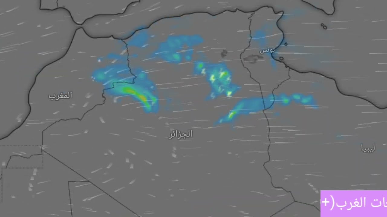 أحوال الطقس في الجزائر: اليوم الثلاثاء 10 مارس 2026 تساقط الأمطار غزيرة و سيول قوية مع ثلوج كثيفة 