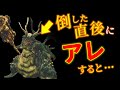 【ゆっくり解説】初見じゃ99%気付けないダークソウル無印の小ネタ集