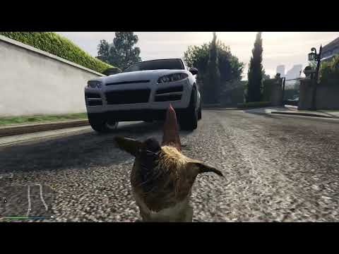 GTA5 變成雞之後被車撞死
