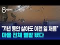 71년 동안 살아도 이런 일 처음 마을 전체 뻘밭 됐다 SBS 특집 8뉴스 71년 동안 살아도 이런 일 처음 마을 전체 뻘밭 됐다 SBS 특집 8뉴스