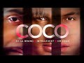 Zvika Brand &amp; INtellegent &amp; Dr. Chan - Coco (Official Clip)