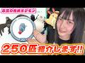 祝!!最高の相棒250匹達成!!相棒ポケモンBOX紹介!!【ポケモンGO】
