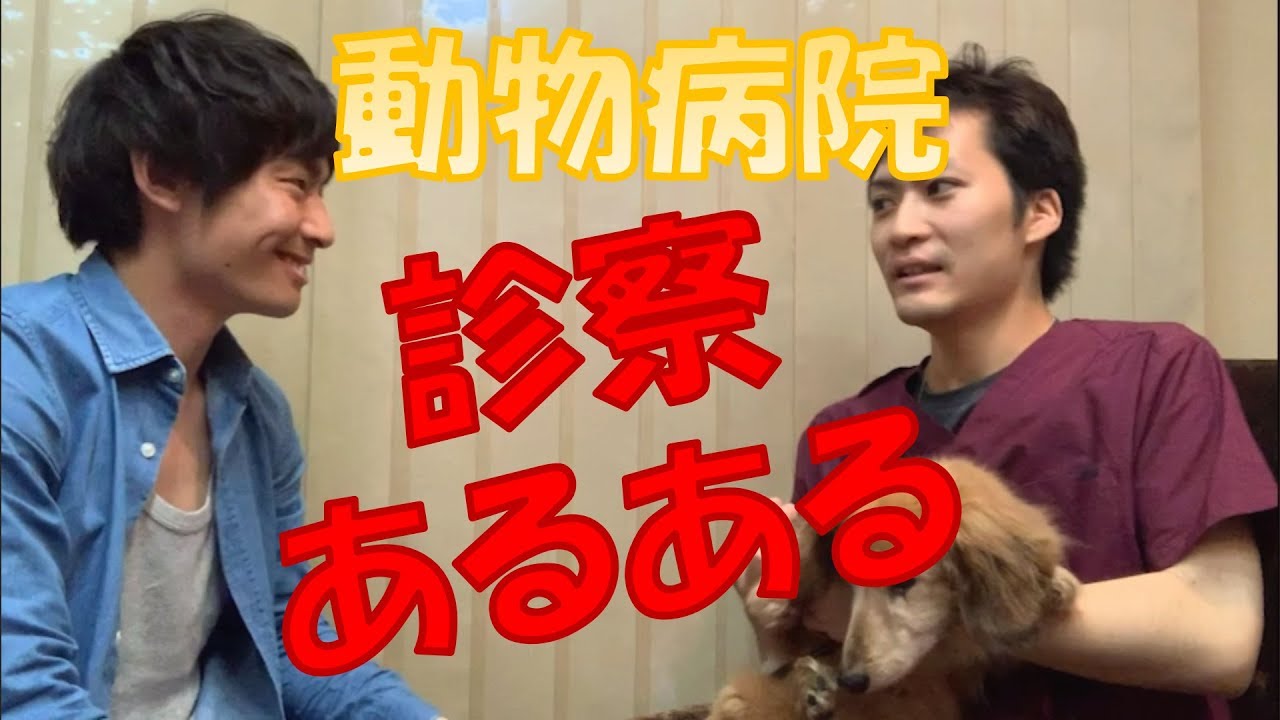 獣医ユーチューバーまとめ Pettie 獣医 大学