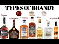 Different types of brandy i cognac i armagnac i calvados i pisco i grappa i xo brandy i vsop brandy
