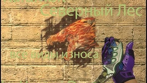 Karambit Северный Лес (Все виды износа) for CSS v89 by Цветик:D