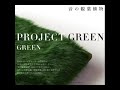 Project Green La Costa 1981 mp3