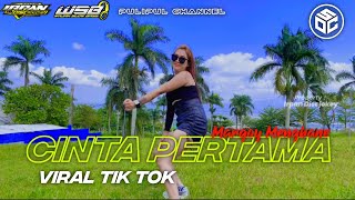 DJ - CINTA PERTAMA FULL PARGOY VIRAL TIK TOK