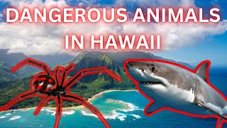 DANGEROUS ANIMALS IN HAWAII