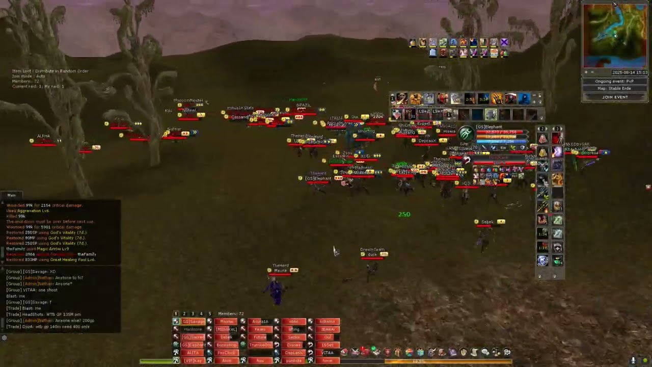 Shaiya Global jungle PvP / STR base statted assasin