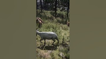 Special wilderness survival skills | ep_ 964, #shorts