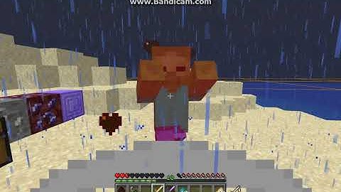 Nether Things 1.1.2 for 1.14.2 Fabric Follow Up Overview