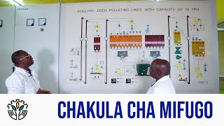 #MadeinTanzania Kiwanda Kinachotumia Teknolojia Ya Kisasa Kutengeneza Chakula Cha Mifugo