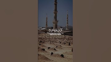 ﴿ كُلُّ مَنْ عَلَيْهَا فَانٍ﴾[ سورة الرحمن: 26]
