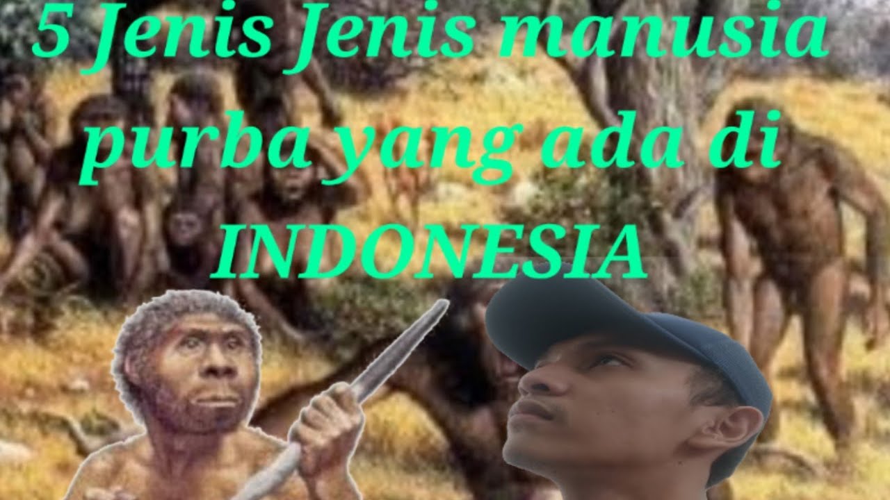 5 Jenis jenis manusia purba yang ada di INDONESIA YouTube