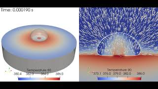 Pool boiling of water - 2D axi simulation with OpenFOAM