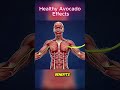 Healthy Avocado Effects on Body You Should Know About That Will Shock You