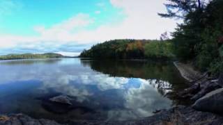 Forest Lake 360 Spherical Timelapse