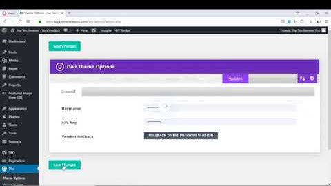 Divi theme api key  lifetime live update divi theme and all plugin