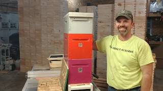 5 frame nuc of honey bees checkerboarded after purchase.